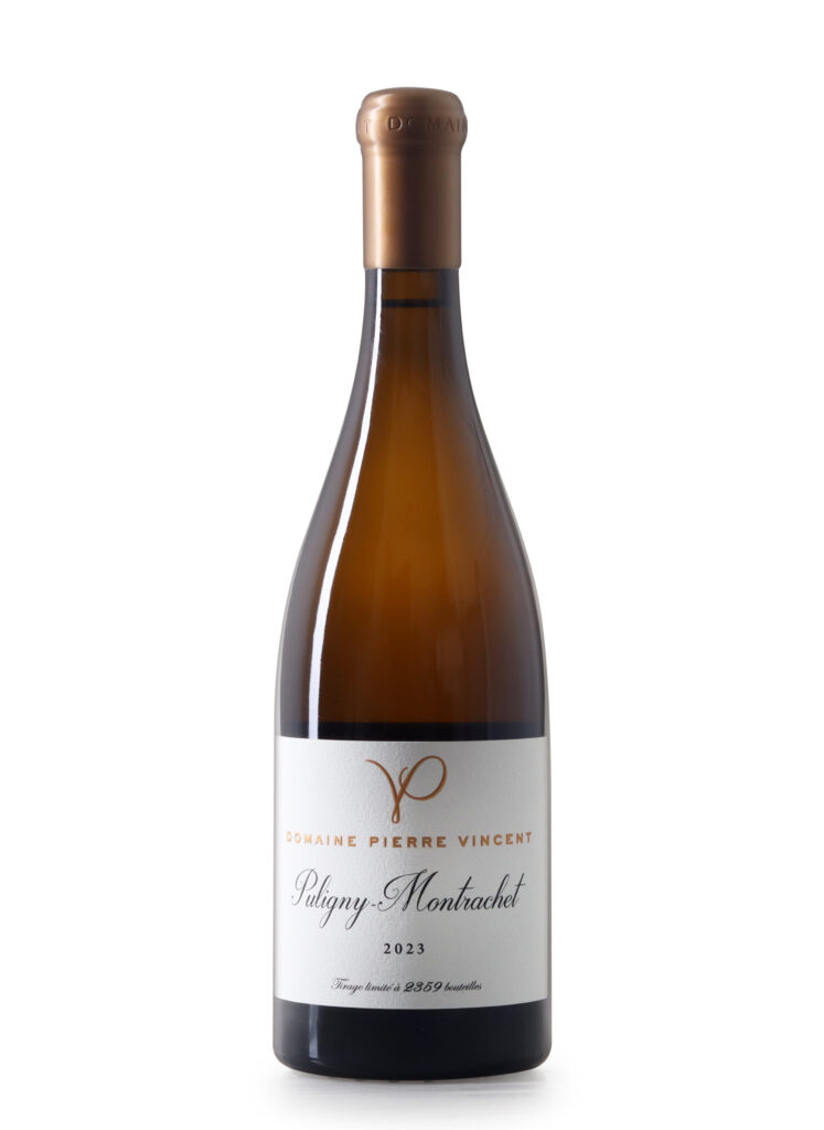 puligny montrachet 2023