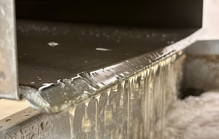 35524075 9343 4ef3 9454 d45c8d2741b7 l0 001 10 09 2025 15 43 53